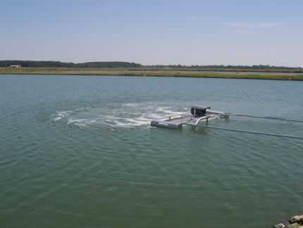 Colorite Grow Out Pond Photos